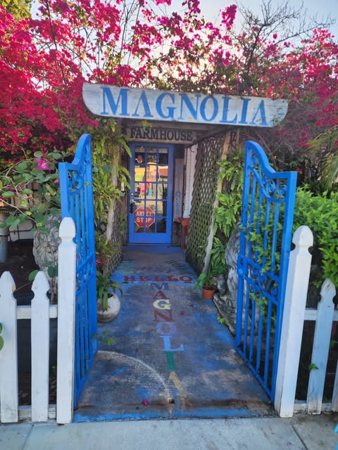 The blue front gate of Magnolia Caffee under blooming bougainvillea